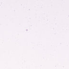 Purple Blue Tint, Double-rolled, 3 mm, Color Sample, 2 x 2 in.