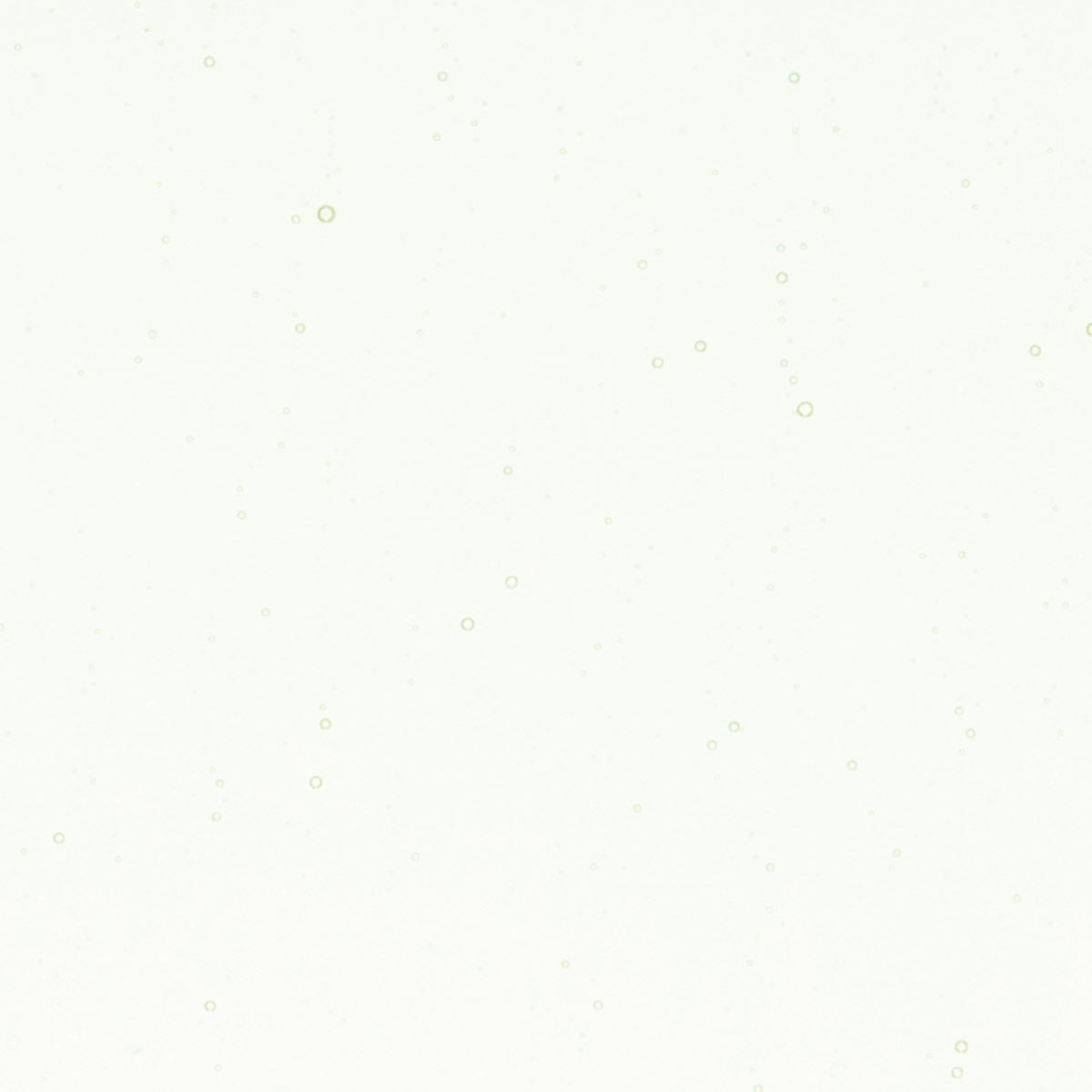 Pine Green Tint, Double-rolled, 3 mm, Fusible