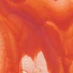 Clear, Red Opal 2-Color Mix, Double-rolled, 3 mm, Color Sample, 2 x 2 in.