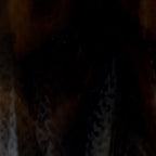 Dark Brown, White 2-Color Mix, Double-rolled, 3 mm, Color Sample, 2 x 2 in.