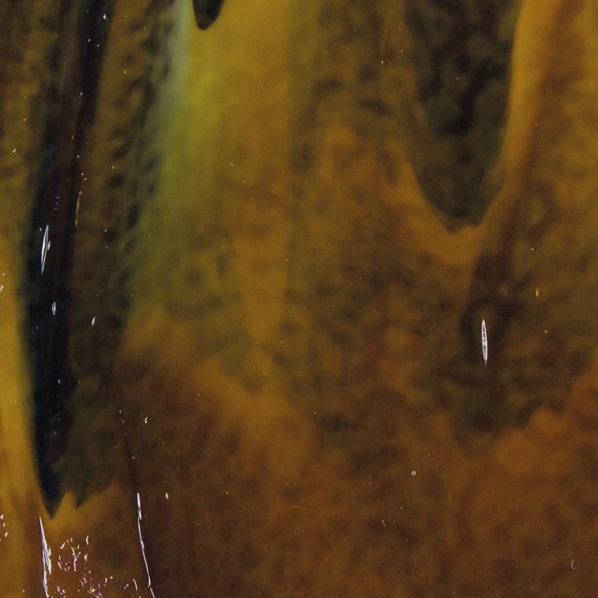 Woodland Brown Opal, Ivory, Black 3+ Color Mix, Double-rolled, 3 mm, Color Sample, 2 x 2 in.