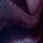 White, Deep Royal Purple, Cranberry Pink 3+ Color Mix, Double-rolled, 3 mm, Fusible