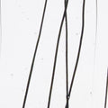 Black Clear Base Collage, Single-rolled, 3 mm, Color Sample, 2 x 2 in.