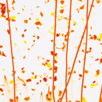 Red, Orange and Yellow Frit, Orange Streamers Clear Base Collage, Single-rolled, 3 mm, Color Sample, 2 x 2 in.