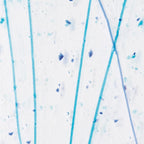 Royal Bl & Turq Frit, Cobalt Bl, & Turq Streamers Clear Base Collage, Single-rolled, 3 mm, Color Sample, 2 x 2 in.