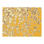 Toffee, Mottle Mottle Mix, Single-rolled, 3 mm, Non-Fusible