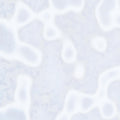 White, Mottle Mottle Opalescent, Single-rolled, 3 mm, Color Sample, 3 x 5 in.