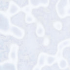 White, Mottle Mottle Opalescent, Single-rolled, 3 mm, Color Sample, 3 x 5 in.