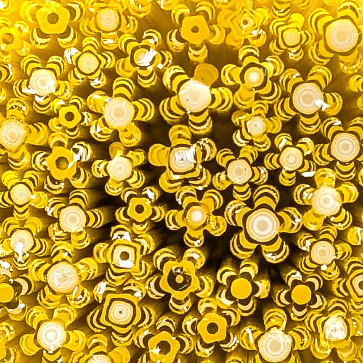 Murrine Sticks, Marigold and French Vanilla Flowers, Pack