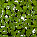 Murrine Sticks, Spring Green, Leaves, Pack