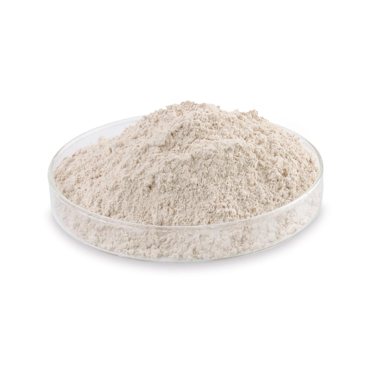 Bullseye Shelf Primer, 5 lb Bucket