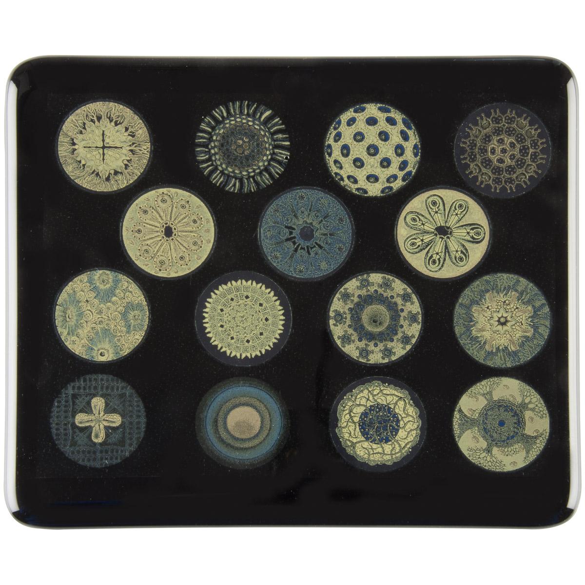 Decal, Diatom