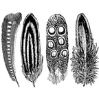 Decal, Feathers #2, Platinum