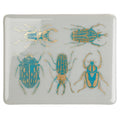 Decal, Scarabs, 2 Color