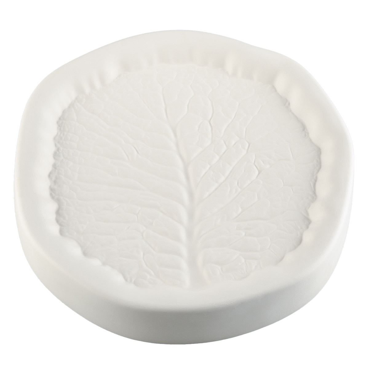 Cabbage Leaf
