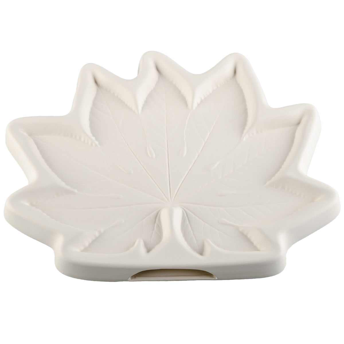 Aralia Leaf, 12.5 x 10 x 1 in. (32 x 25 x 2.5 cm)