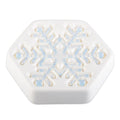 Snowflake - January 2017