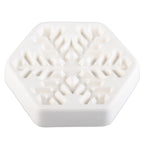 Snowflake - January 2017