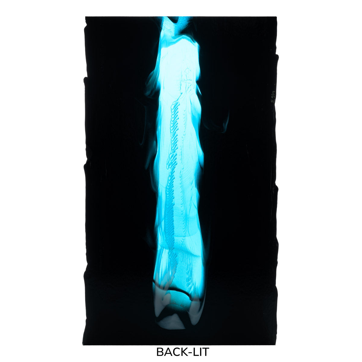 Black Opalescent, White Opalescent, Turquoise Transparent Double Cascade, 3+ Color Mix, Double-rolled, 3mm, Fusible