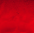 Dichro on Black, Candy Red Opalescent, Thin-rolled, 2 mm, Fusible, 3 x 3 in.