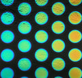 Dichro on Black, Lg Dots Opalescent, Thin-rolled, 2 mm, Fusible, 3 x 3 in.