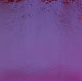 Dicho on Black, Purple Opalescent, Thin-rolled, 2 mm, Fusible, 3 x 3 in.