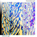 Clear, Dichroic, Rainbow Transparent, Herringbone, 3 mm, Fusible, 3 x 3 in.