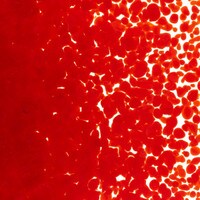 Red Opalescent, Medium Frit, Fusible