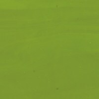 Avocado Green Opalescent, Non-Fusible, Thin-rolled, 2 mm, Color Sample, 2x2 in.