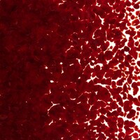 Deep Red Opalescent, Medium Frit, Fusible