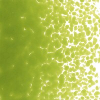 Pea Pod Opalescent, Medium Frit, Fusible