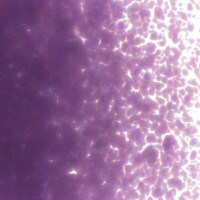 Gold Purple Opalescent, Medium Frit, Fusible