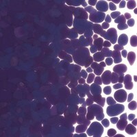 Gold Purple Opalescent, Coarse Frit, Fusible