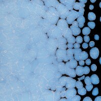 Opaline Opalescent, Coarse Frit, Fusible