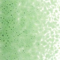 Light Green Transparent, Medium Frit, Fusible