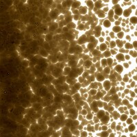 Dark Rose Brown Transparent, Medium Frit, Fusible
