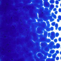 Deep Royal Blue Transparent, Coarse Frit, Fusible