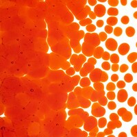 Orange Transparent, Coarse Frit, Fusible