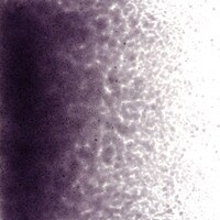 Deep Royal Purple Transparent, Fine Frit, Fusible