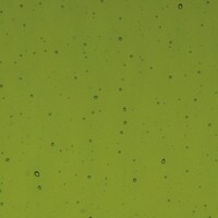 Lily Pad Green Transparent, Non-Fusible, Double-rolled, 3 mm, Color Sample, 2x2 in.
