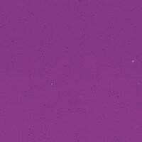 Violet Transparent, Non-Fusible, Double-rolled, 3 mm, Color Sample, 2x2 in.
