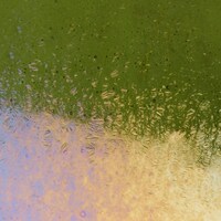 Pine Green Transparent, Non-Fusible, Thin-rolled, Iridescent, rainbow, 2 mm, Color Sample, 2x2 in.