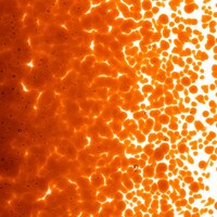 Carnelian Transparent, Medium Frit, Fusible