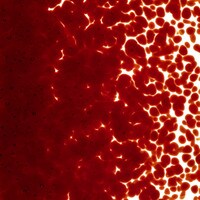 Garnet Red Transparent, Medium Frit, Fusible