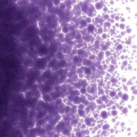 Gold Purple Transparent, Medium Frit, Fusible