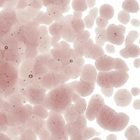 Light Plum Transparent, Coarse Frit, Fusible