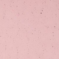 Light Plum Transparent, Non-Fusible, Double-rolled, 3 mm, Color Sample, 2x2 in.