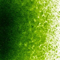 Light Aventurine Green Transparent, Fine Frit, Fusible