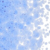 Light Sky Blue Transparent, Coarse Frit, Fusible