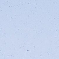 Light Sky Blue Transparent, Non-Fusible, Thin-rolled, 2 mm, Color Sample, 2x2 in.